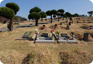 매장묘지 이미지 1