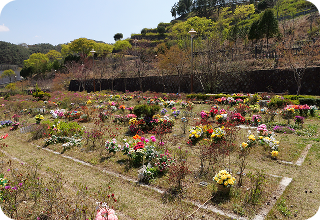 자연장 이미지 1